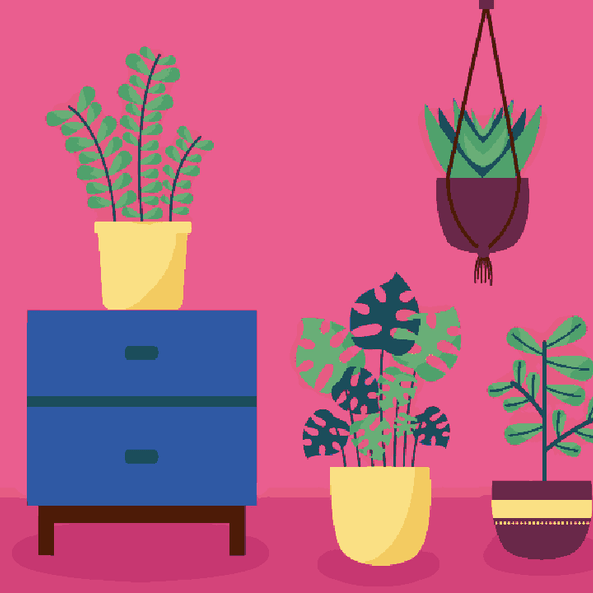 Plants & Furniture