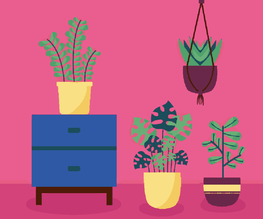 Plants & Furniture