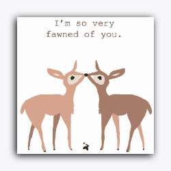 Fawned of You