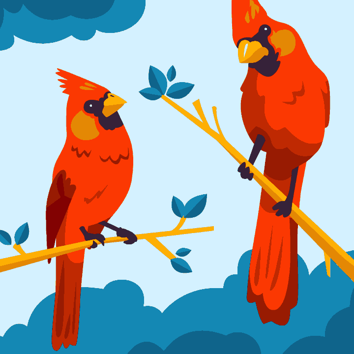 Red Robbin Birds