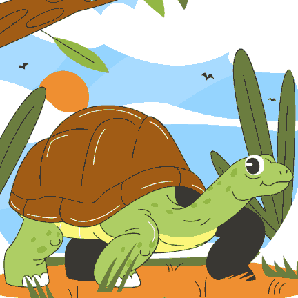 Tortoise on Land