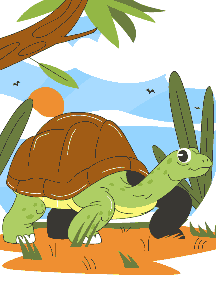Tortoise on Land