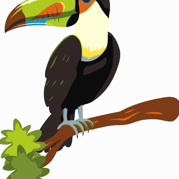 Toucan Bird