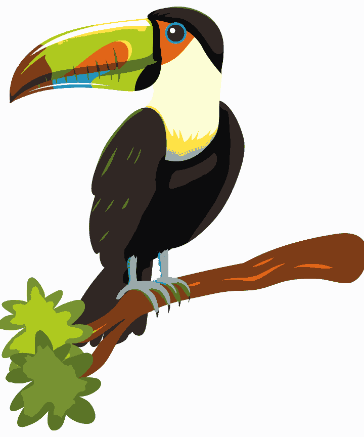 Toucan Bird