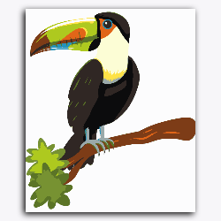 Toucan Bird