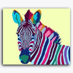 Colourful Zebra