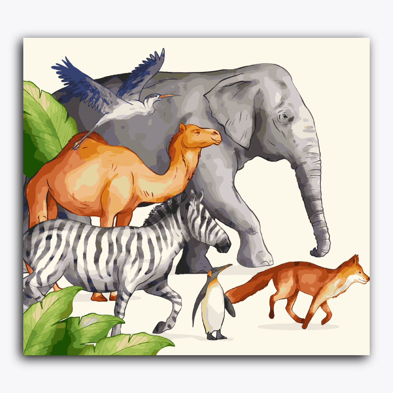 Group of Animal Running