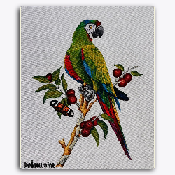 Parrot and Berries