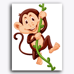 Cute Monkey