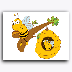 Honeybees & Comb