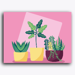 Plants In Pink