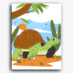 Tortoise on Land