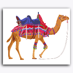 Rajasthani Camel