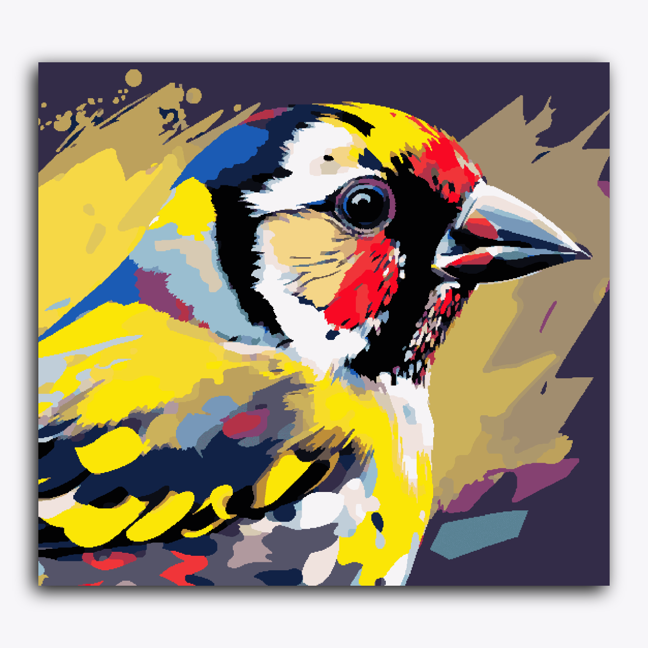 Colourful Sparrow