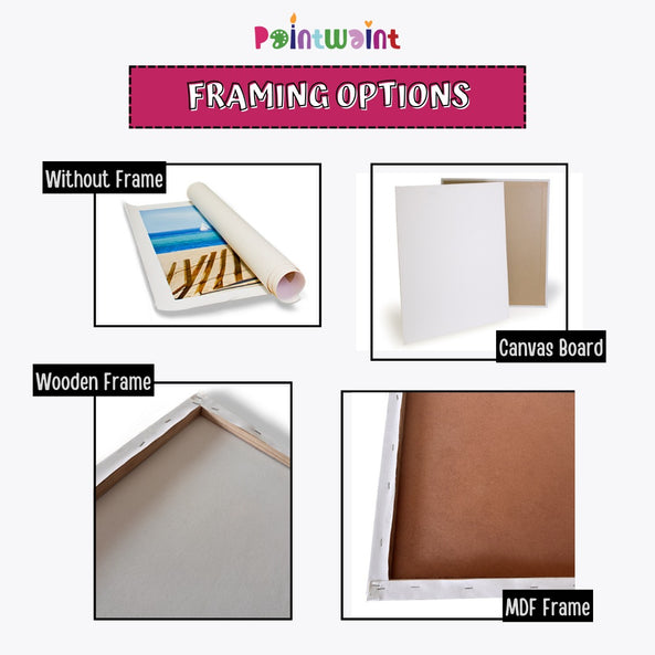 Framing Options 