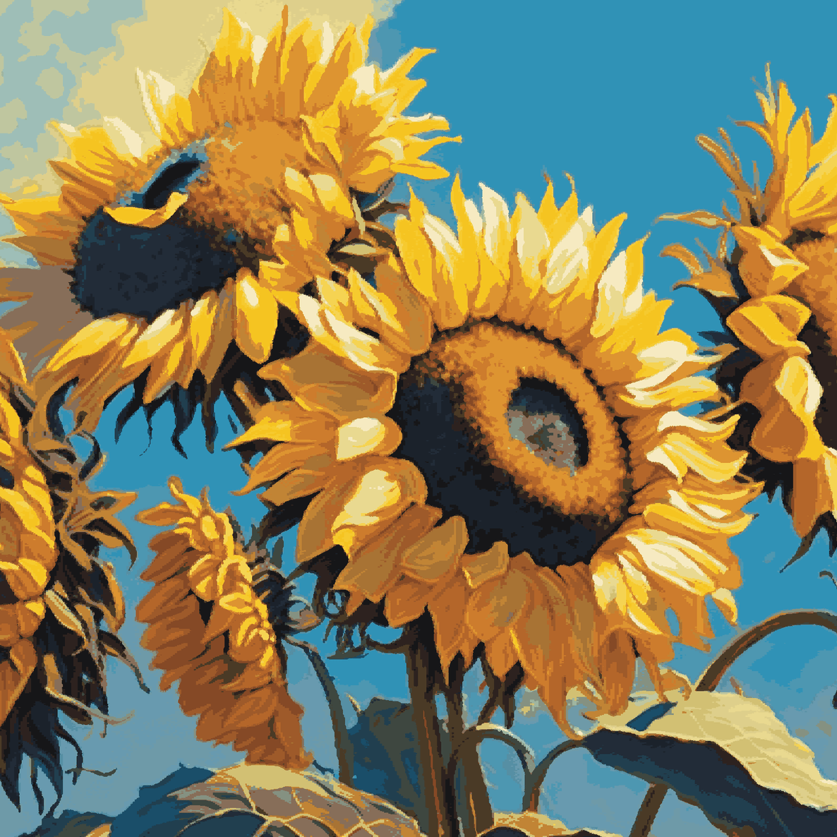 Yellow SunFlower Closer Look