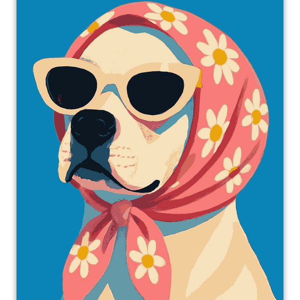 Babushka Boxer