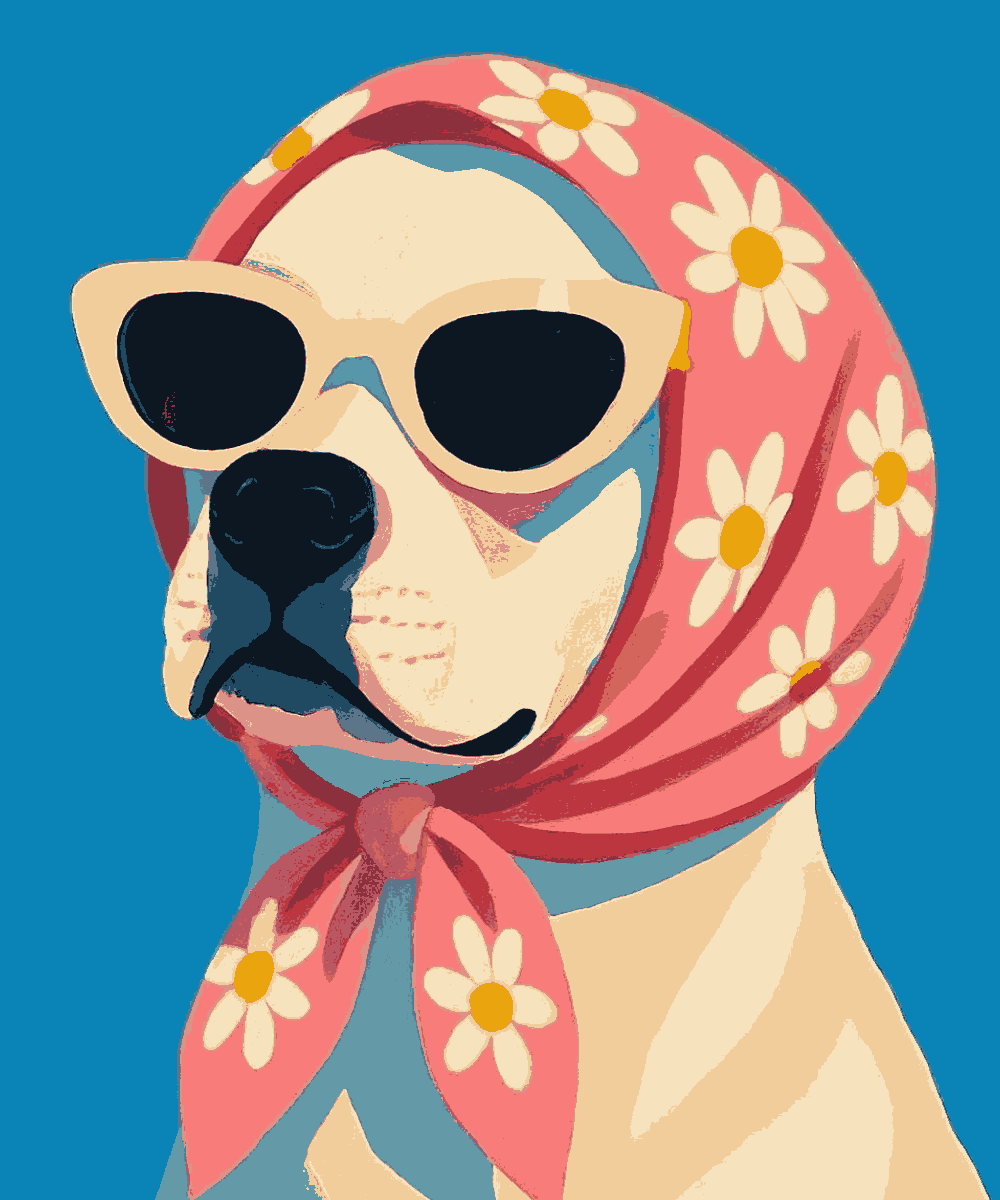 Babushka Boxer
